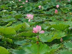 -宜兴龙背山森林公园