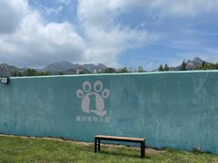 -趣玩宠物乐园寄养训犬训狗游泳池