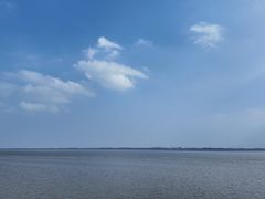 -观潮胜地公园