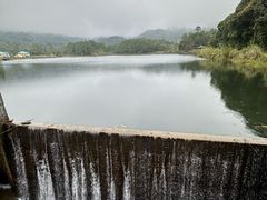 -海南热带雨林国家公园吊罗山景区