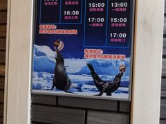 -成都浩海立方海洋公园