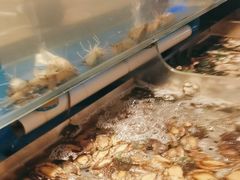 -喜庭海鲜自助(佛山王府井店)