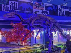 -诸城市恐龙博物馆