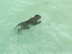 -Let's Relax Spa(Phuket 3rd Street)