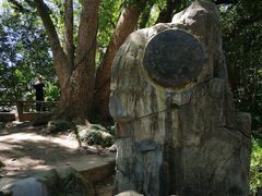 -溪口-滕头旅游景区