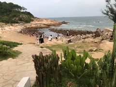 -广东惠东海龟国家级自然保护区