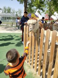 -萌宠亲子动物乐园(槐房万达店)