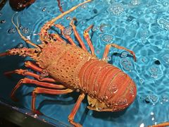 -徐记海鲜(大雁塔|金都店)