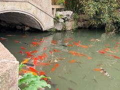 -绿茶餐厅(龙井船宴· 品牌总店)