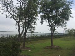 -江滩湿地公园