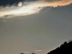 -午潮山国家森林公园