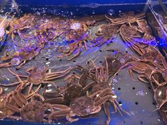 -澜悦港海鲜体验主题餐厅
