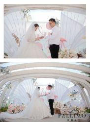 -派丽莫Pellimo原创设计婚纱品牌