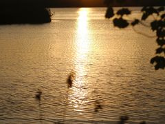 -艾溪湖湿地公园