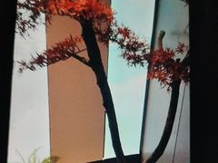 -澜·庭汇SPA会所(涉外店)