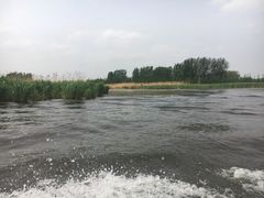 -白洋淀景区