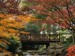 -中国茶叶博物馆(双峰馆区)