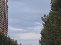 -曹州百花园