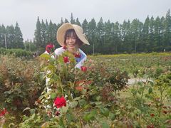 -上海长兴岛郊野公园