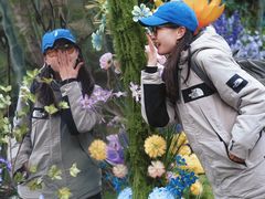 -龙湾潭国家森林公园