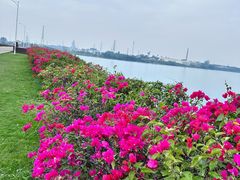 -露天矿生态公园