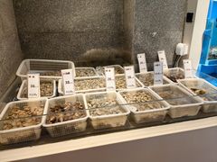 -赶海部落海鲜城(海阳路店)