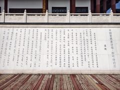 -柳湖沙月沙滩公园