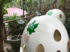 -100蛋泥浆浴