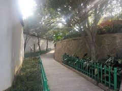 -乌山风景区
