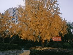 -钳小柒·小龙虾蓝龙王烧烤夜宵(长寿路店)