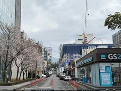 -宝健路步行街(Pedestrian Shopping Street)