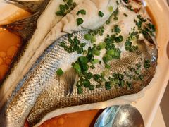 -醉辉皇原味海鲜江南菜(成都大魔方店)