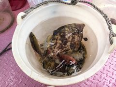 -小猫钓鱼海钓俱乐部(椰梦长廊店)