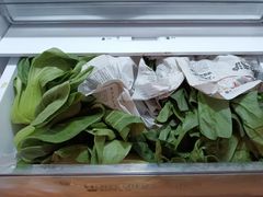 -上海市黄浦区卢湾第一中心小学