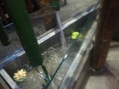 -雀舞·私食(凯德店)