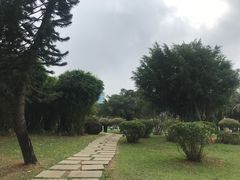 -万绿园