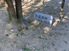 -南山植物园