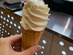 经典豆乳冰淇淋-维维豆奶(金鹰新街口店)