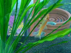 -南通洲际绿博园