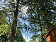 -渌洋湖湿地公园
