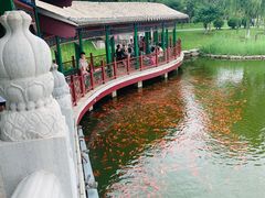 -西海子公园