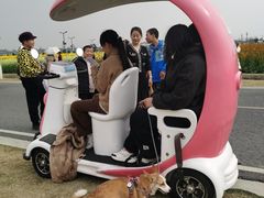 -中国天府农业博览园