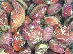 -海帮主·蒸汽海鲜青岛菜(栈桥火车站店)