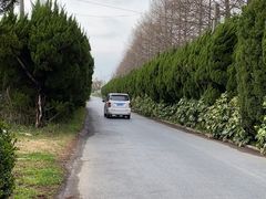 -嘉北郊野公园