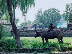-三里河公园