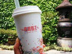 -鸡鸣赐茶(鸡鸣寺路店)