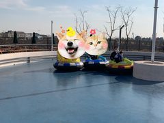 -季高兔窝窝亲子园(上海薰衣草公园店)