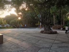 -金砂公园