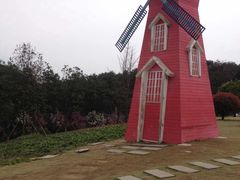 -铁山坪森林公园