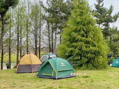 -羊亭河湿地公园